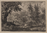 TvB G 0810
<br/>
Dennen aan het water
<br/>
<em>Everdingen, Allaert van (1621-1675)</em>